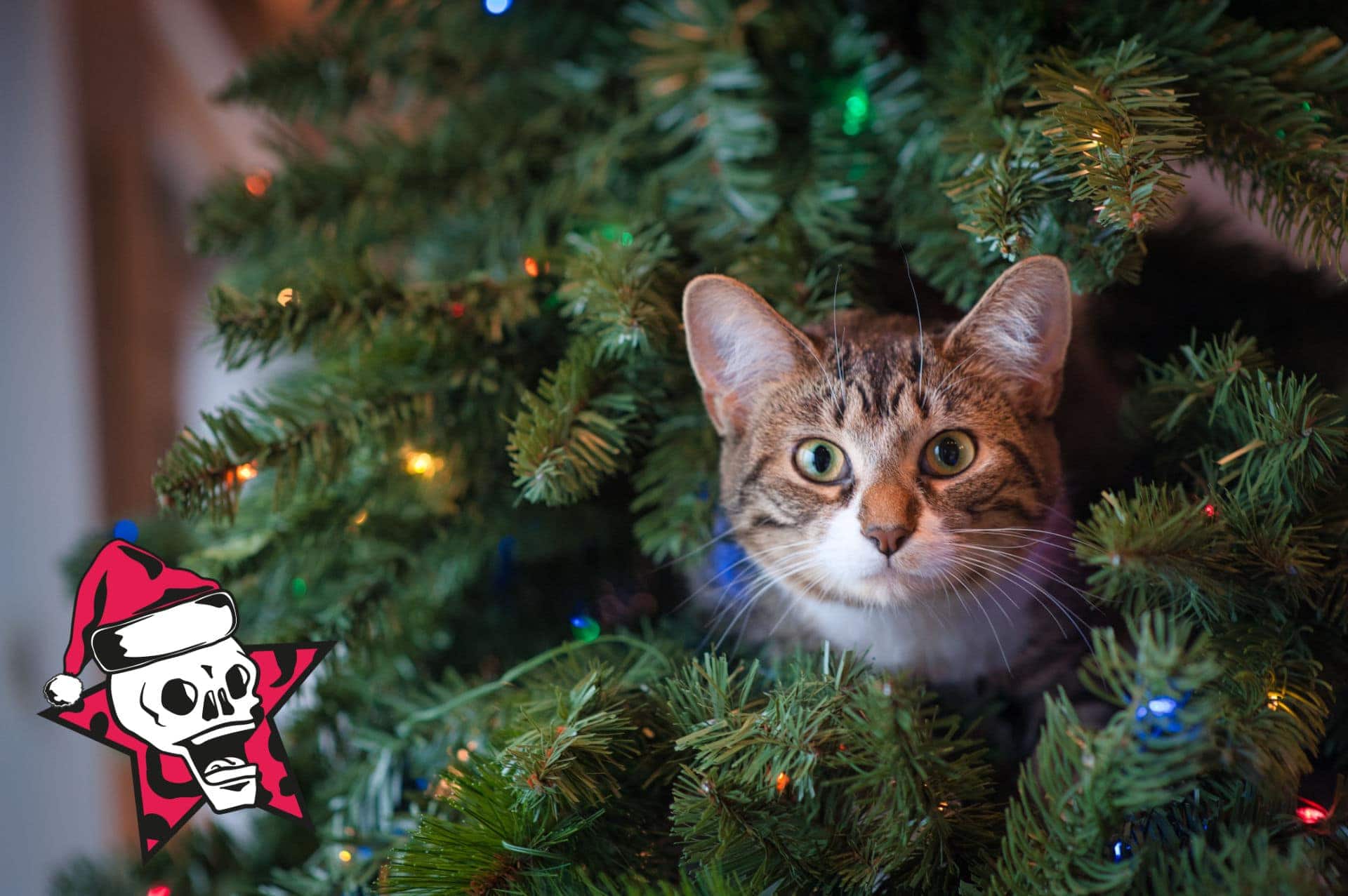 leo-skull-weihnachten-foto-jessica-lewis-unsplash