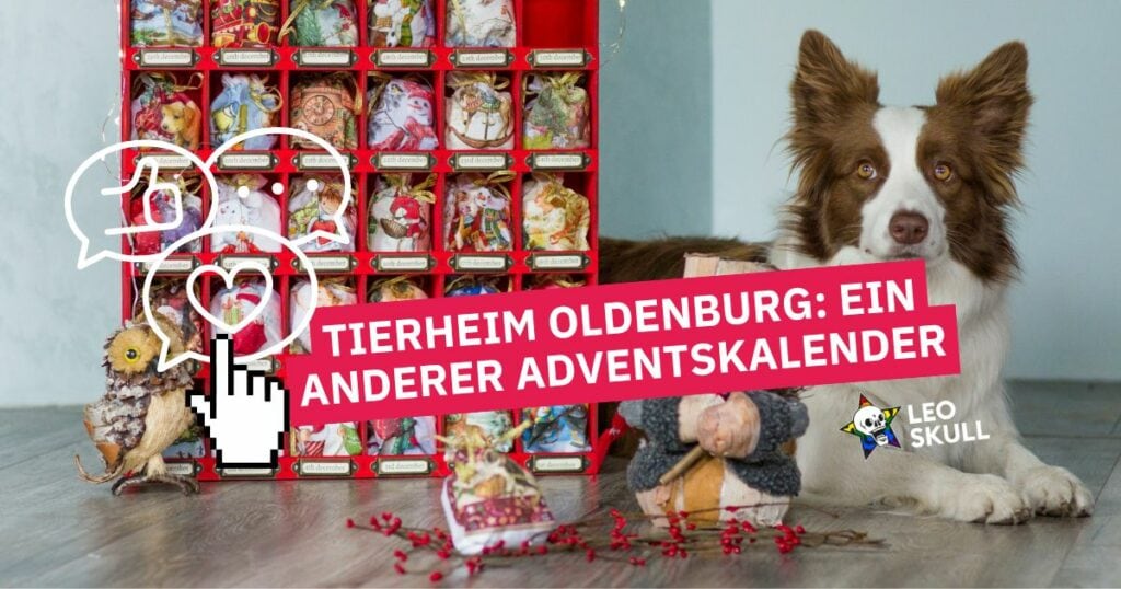 Hund neben Adventskalender Tierheim Oldenburg