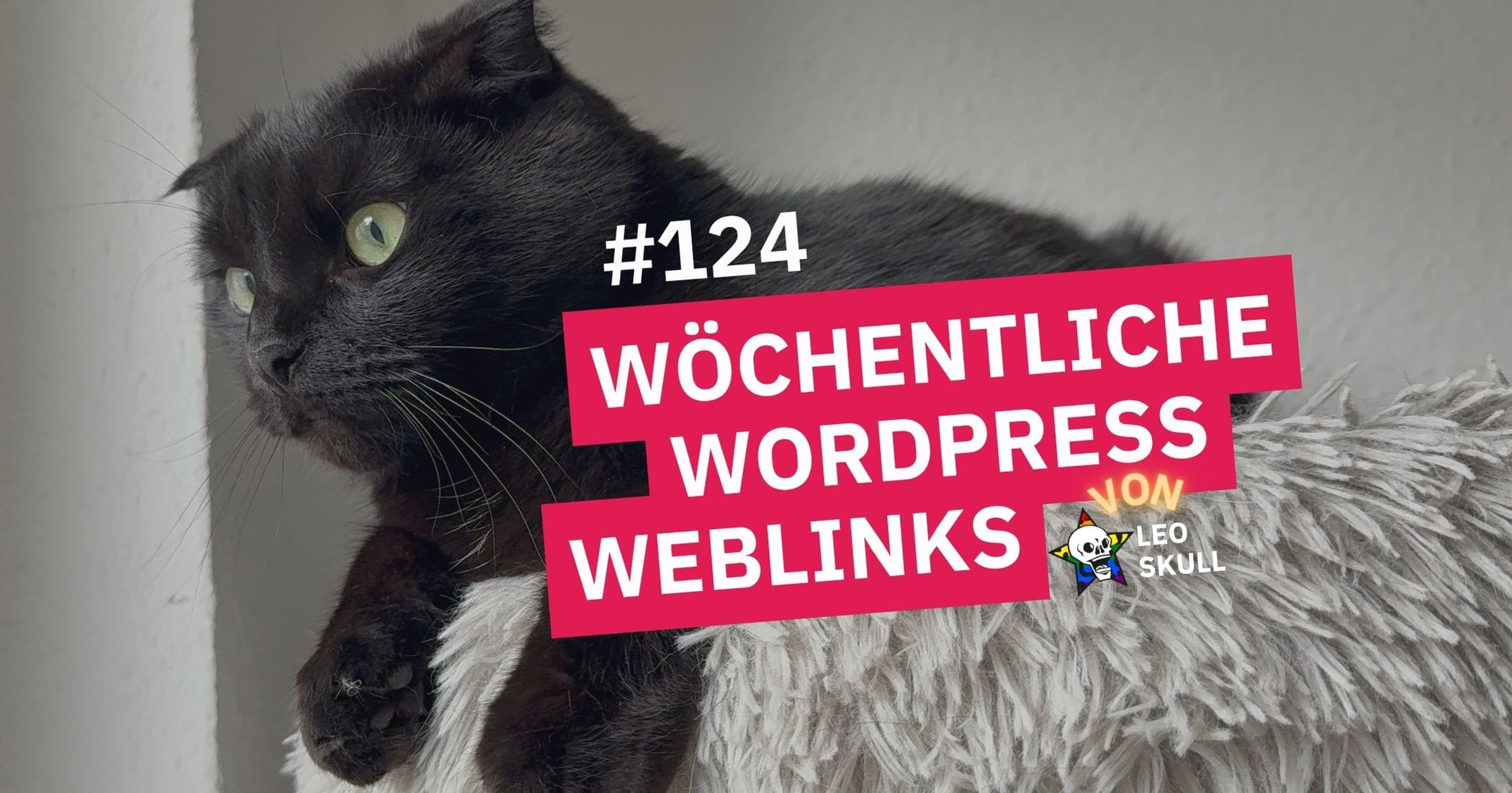 Schwarze Katze, wöchentliche WordPress-Weblinks