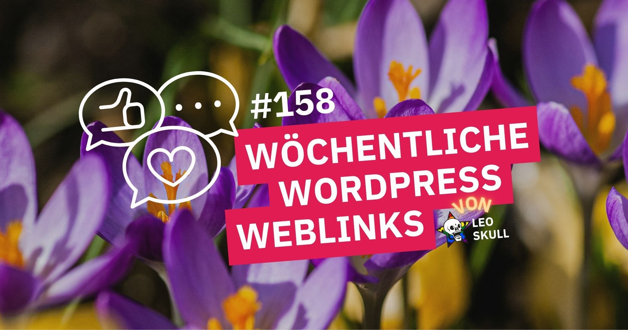 LS WWW Blog Featured Image & Google 158